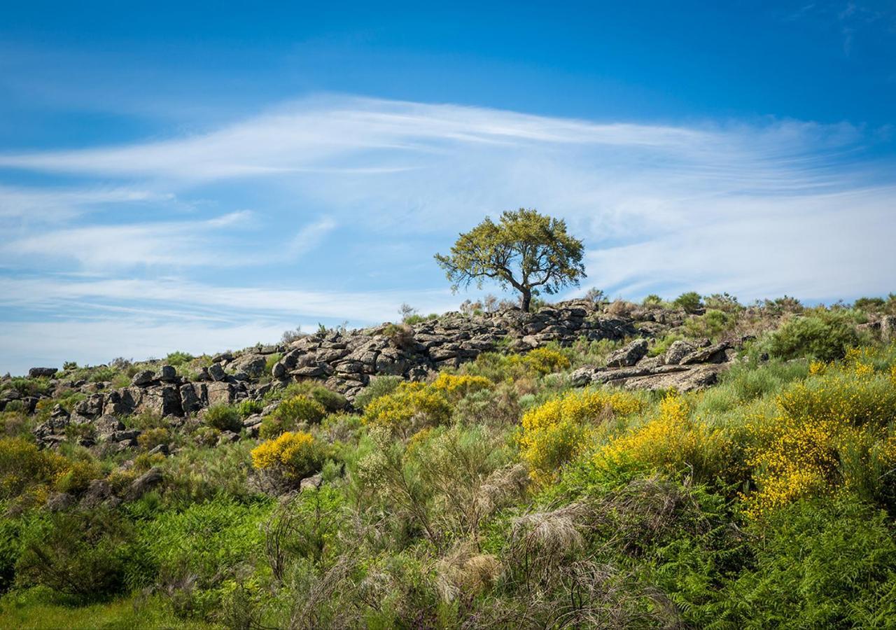 Alentejo Mountain Vacation House Villa Castelo de Vide Exterior foto